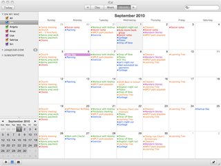 Apple iCal Month View