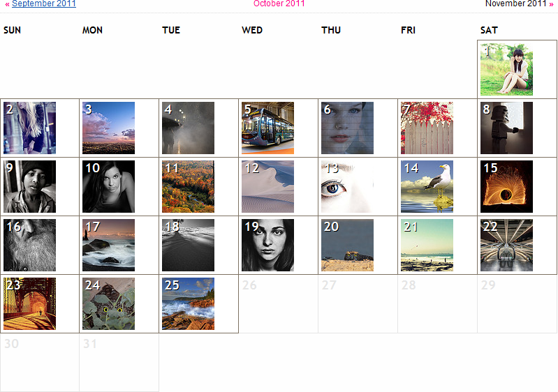 Flickr Interestingness Calendar